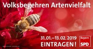 Rettet die Bienen